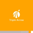 TripleArrow-1-2a.jpg
