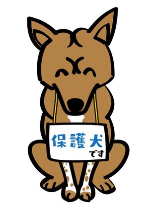 poco (poco_design)さんの実在する保護犬をモデルにしたキャラクターデザインへの提案
