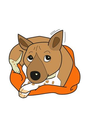 MIKU (gchocolat39)さんの実在する保護犬をモデルにしたキャラクターデザインへの提案