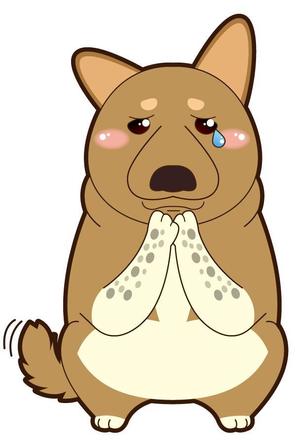 NonnoDesignLabo 片岡希 (NozomiKataoka)さんの実在する保護犬をモデルにしたキャラクターデザインへの提案