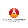 Americaya-Corporation様ご提案１.jpg