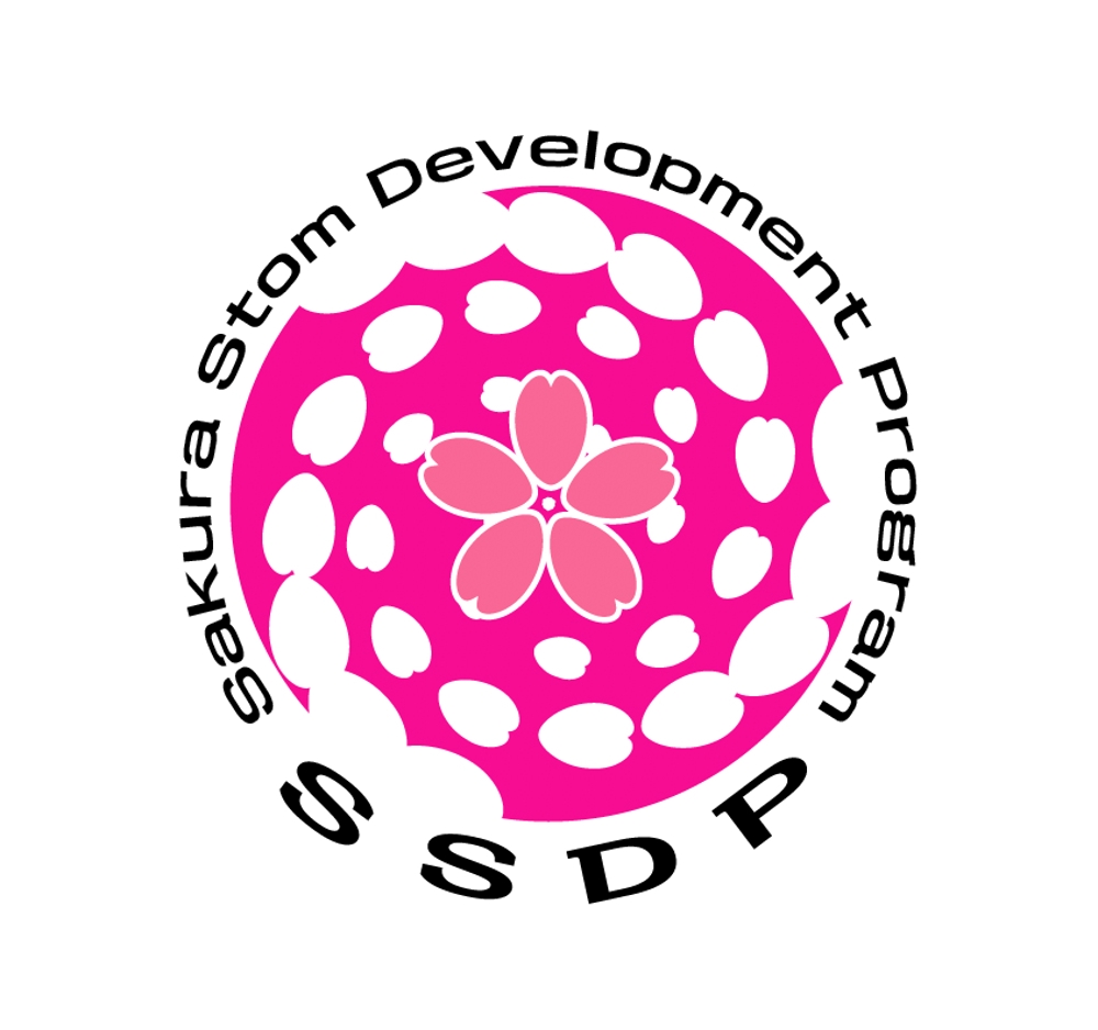 SSDP02.jpg