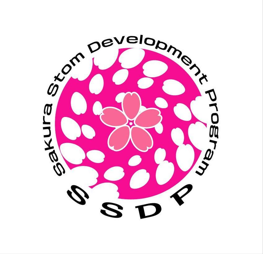 SSDP05.jpg