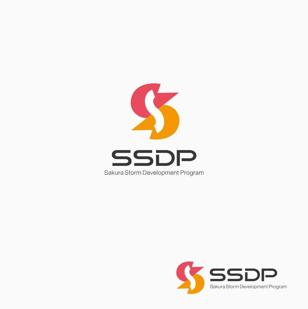 SSDP2.jpg
