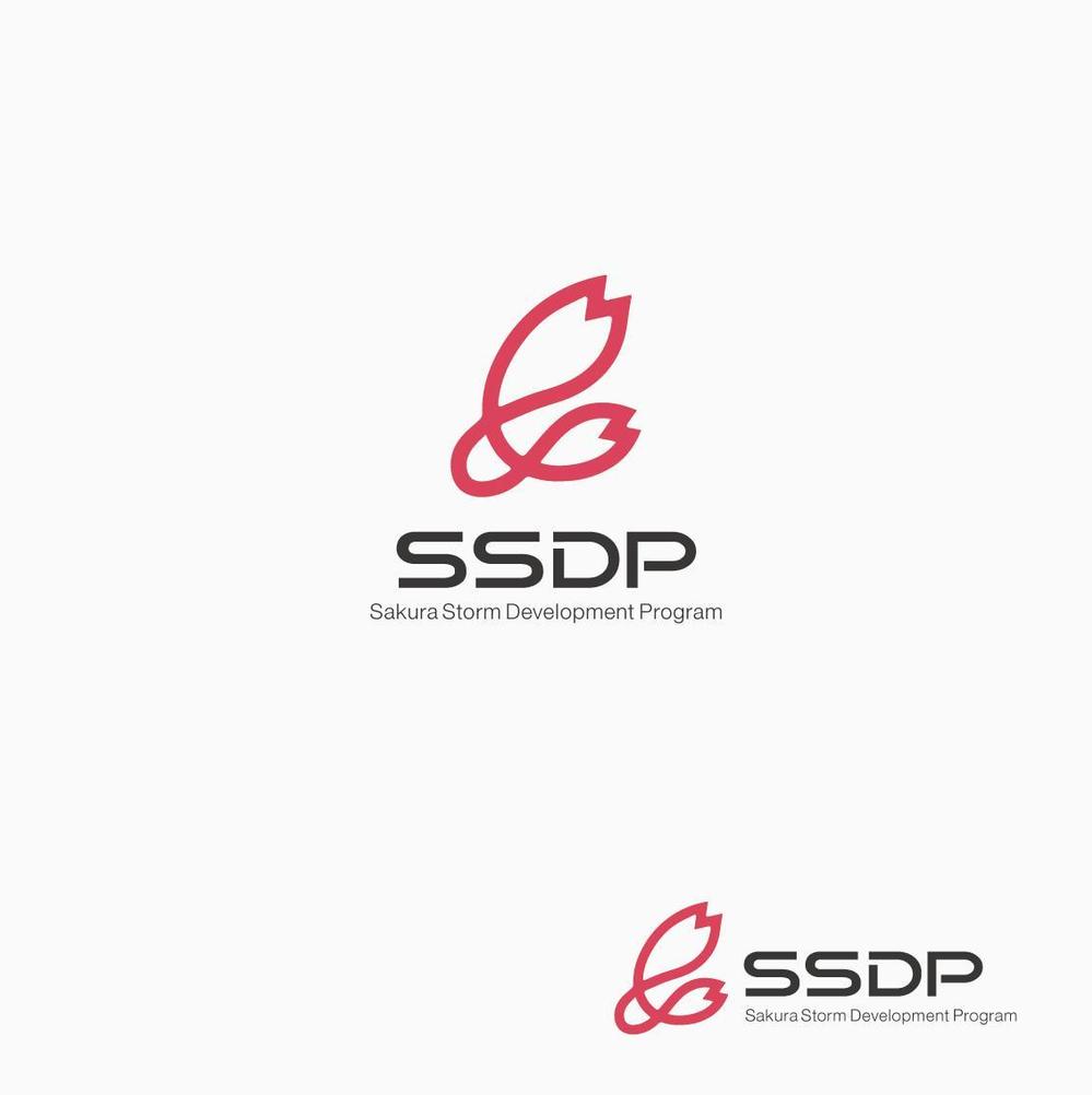 SSDP1.jpg