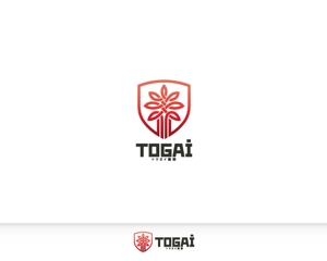 Chapati (tyapa)さんのトウガイ建設ロゴへの提案