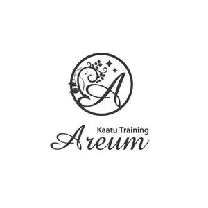 Cheshirecatさんの「Areum」のロゴ作成への提案