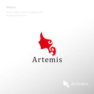 doremi (doremidesign)さんのクラウドアプリサービスのロゴ制作への提案