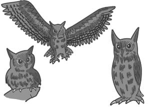 小田　一郎 (ichannel16)さんの会社名の「owl」フクロウのキャラクターデザインへの提案
