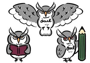 きなこもち（休止中） (monsteromochi)さんの会社名の「owl」フクロウのキャラクターデザインへの提案