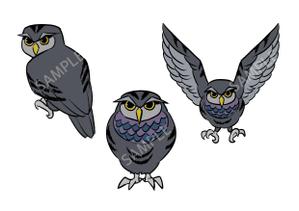 sato_537さんの会社名の「owl」フクロウのキャラクターデザインへの提案