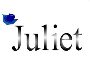 takashi_onoさんの「Juliet」のロゴ作成への提案