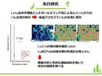 rororosicky7さんのリクルート用会社案内のデザイン・内容整形 ・文章校正 ・画像挿入をお願い致します。(テンプレート有)への提案