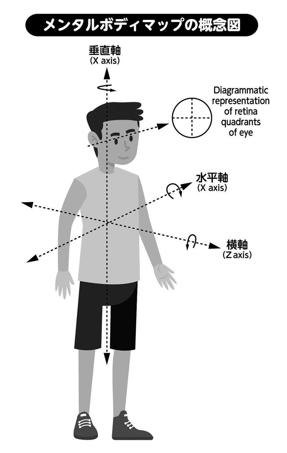 運動教室　体の図のイラスト