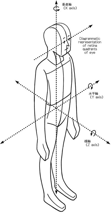 Kokihoriuchiさんの事例 実績 提案 運動教室 体の図のイラスト この度ご提案させてい クラウドソーシング ランサーズ