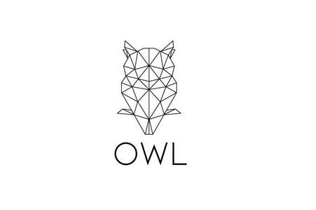 会社名の Owl フクロウのキャラクターデザインの仕事 依頼 料金 キャラクターデザイン 制作 募集の仕事 クラウドソーシング ランサーズ Id