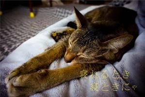 ともす (yoshi34)さんの【総額50万円・100名当選】アドビ×ランサーズ「 #おうちで創ろう 」クリエイティブコンテストへの提案