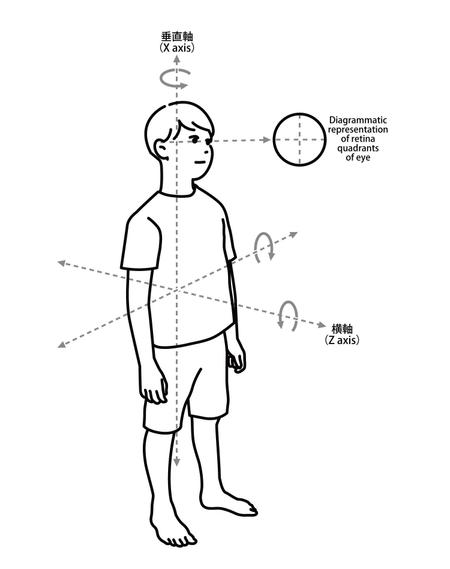 Ma Tomomiさんの事例 実績 提案 運動教室 体の図のイラスト Kojinaoさまは クラウドソーシング ランサーズ