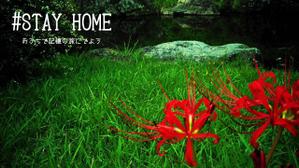 iknow (inoue_mistue)さんの【総額50万円・100名当選】アドビ×ランサーズ「 #おうちで創ろう 」クリエイティブコンテストへの提案