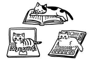 きい (kii_ko)さんの猫のイラスト3種類 募集への提案