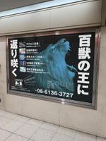 B_M_Graphix (B_M_Graphix)さんの男性クリニックの広告(電飾用シート237＊156cm)のデザイン作成への提案