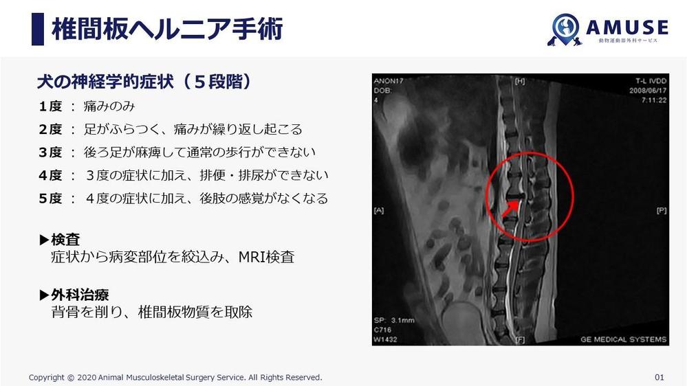 講義・学会発表用のパワーポイント/keynote テンプレートデザイン