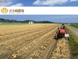 s m d s (smds)さんの【ロゴ作成】北海道で100年超続く農業法人への提案