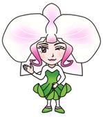 鈴丸 (suzumarushouten)さんの胡蝶蘭販売サイト胡蝶蘭園.comから同梱・発送するお手入れ方法のイラスト冊子の制作への提案