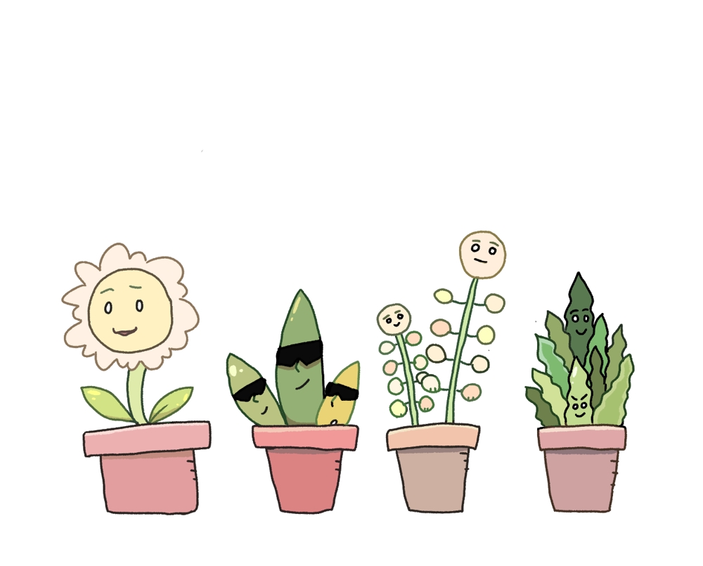 植物のキャラクターのイラスト.png