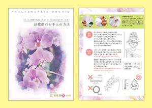 メリスパ (merryspice)さんの胡蝶蘭販売サイト胡蝶蘭園.comから同梱・発送するお手入れ方法のイラスト冊子の制作への提案