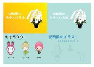 ヴぃんす (Vince)さんの胡蝶蘭販売サイト胡蝶蘭園.comから同梱・発送するお手入れ方法のイラスト冊子の制作への提案