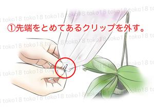 toko18 (toko18)さんの胡蝶蘭販売サイト胡蝶蘭園.comから同梱・発送するお手入れ方法のイラスト冊子の制作への提案