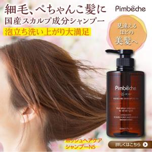 naga-k0217さんのパンベシュ「ポッシュヘアケアシャンプーNS」バナー制作への提案