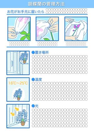 あいはらひろみ (hirohiro)さんの胡蝶蘭販売サイト胡蝶蘭園.comから同梱・発送するお手入れ方法のイラスト冊子の制作への提案
