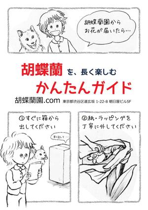 ハイハイミミ（イラスト・絵本） (hihimimi)さんの胡蝶蘭販売サイト胡蝶蘭園.comから同梱・発送するお手入れ方法のイラスト冊子の制作への提案