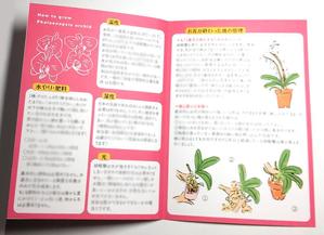 mtrism (mtrism)さんの胡蝶蘭販売サイト胡蝶蘭園.comから同梱・発送するお手入れ方法のイラスト冊子の制作への提案