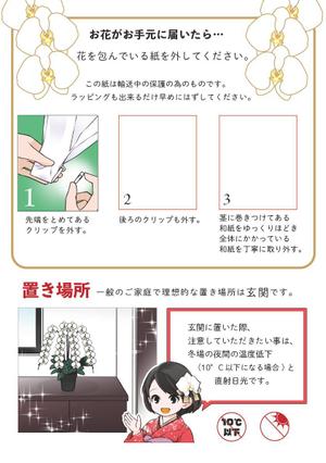 カワムラ (kawa_mura)さんの胡蝶蘭販売サイト胡蝶蘭園.comから同梱・発送するお手入れ方法のイラスト冊子の制作への提案