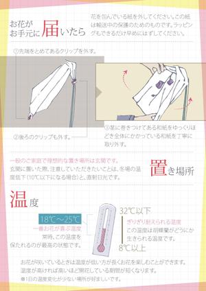 nomanatさんの胡蝶蘭販売サイト胡蝶蘭園.comから同梱・発送するお手入れ方法のイラスト冊子の制作への提案