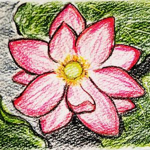 kyokyo (kyokyo)さんのお寺の天井絵イラストへの提案