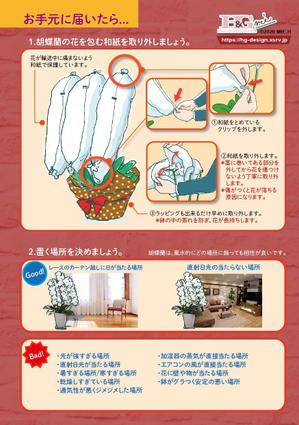 BrandingDesign M.C (MINO)さんの胡蝶蘭販売サイト胡蝶蘭園.comから同梱・発送するお手入れ方法のイラスト冊子の制作への提案