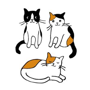 kaikonomayu (kaikonomayu)さんの猫のイラスト3種類 募集への提案