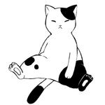 モツ煮子美 (ynh1128)さんの猫のイラスト3種類 募集への提案