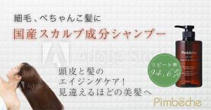 m-nori (m_nori)さんのパンベシュ「ポッシュヘアケアシャンプーNS」バナー制作への提案
