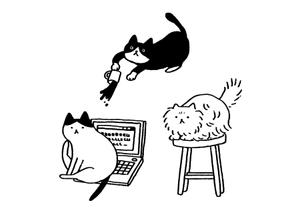 よしださやか ()さんの猫のイラスト3種類 募集への提案