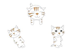 ＲＵＮ (RUN_001)さんの猫のイラスト3種類 募集への提案