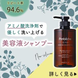 moumaMさんのパンベシュ「ポッシュヘアケアシャンプーNS」バナー制作への提案