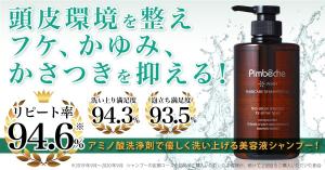 kg12 (kg12)さんのパンベシュ「ポッシュヘアケアシャンプーNS」バナー制作への提案