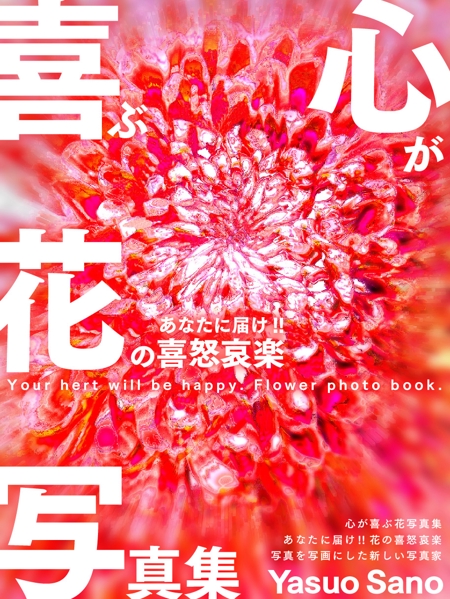 1cc -ichicoco- (sakuranomiya)さんの電子書籍の表紙デザインの依頼への提案