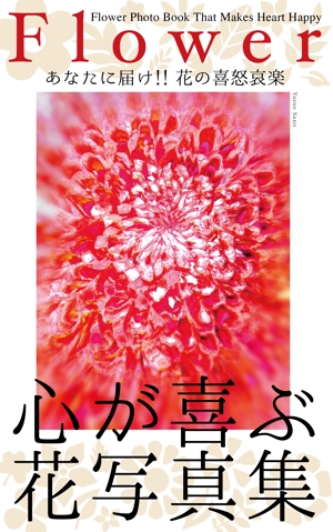 MASUKI-F.D (MASUK3041FD)さんの電子書籍の表紙デザインの依頼への提案