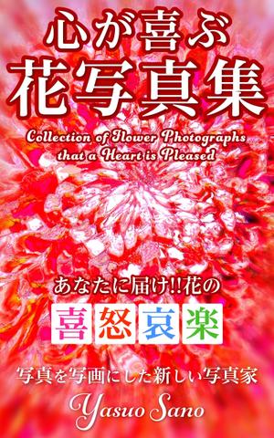 Hi-Hiro (Hi-Hiro)さんの電子書籍の表紙デザインの依頼への提案